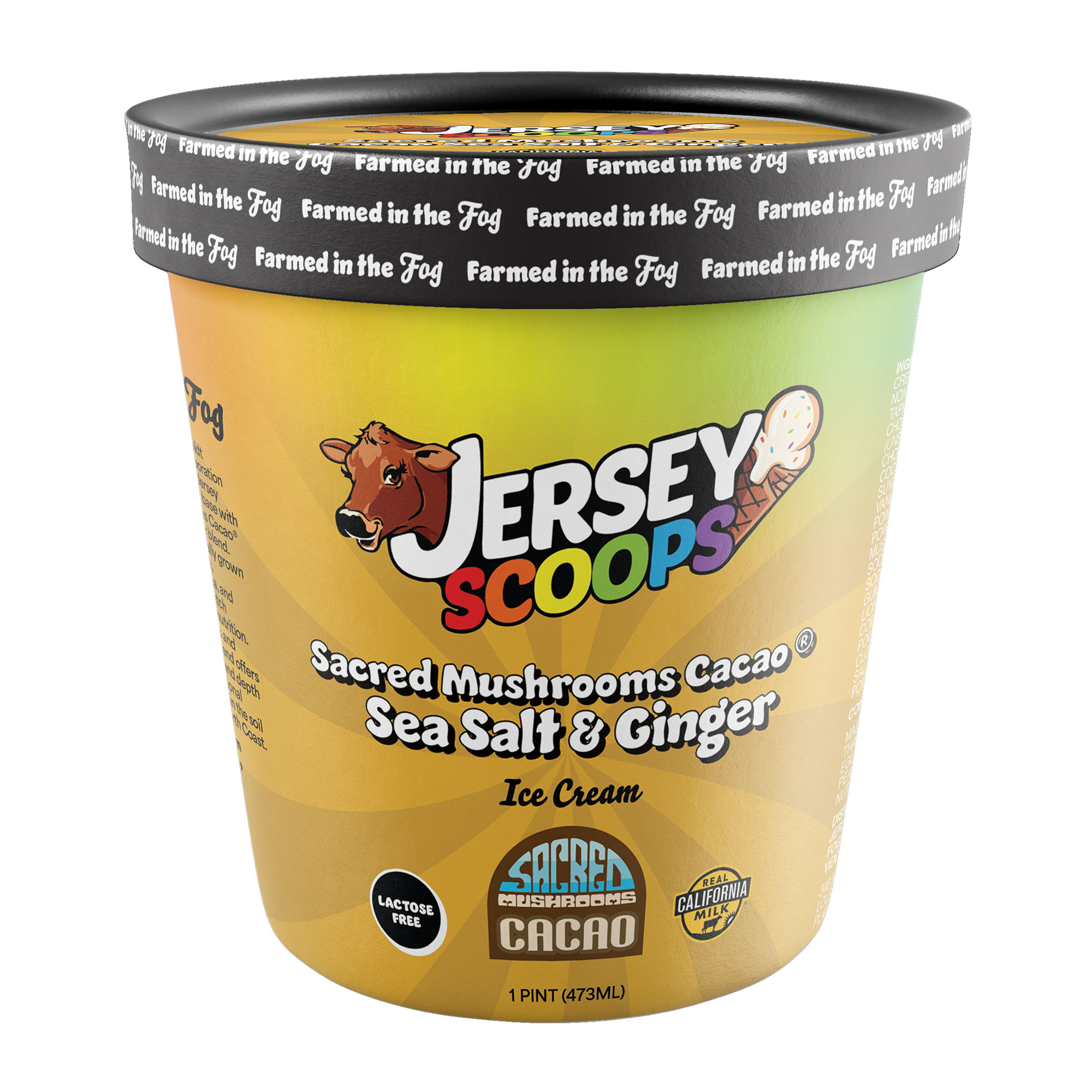 JS-sacred-mushrooms-sea-salt-and-ginger-isolated