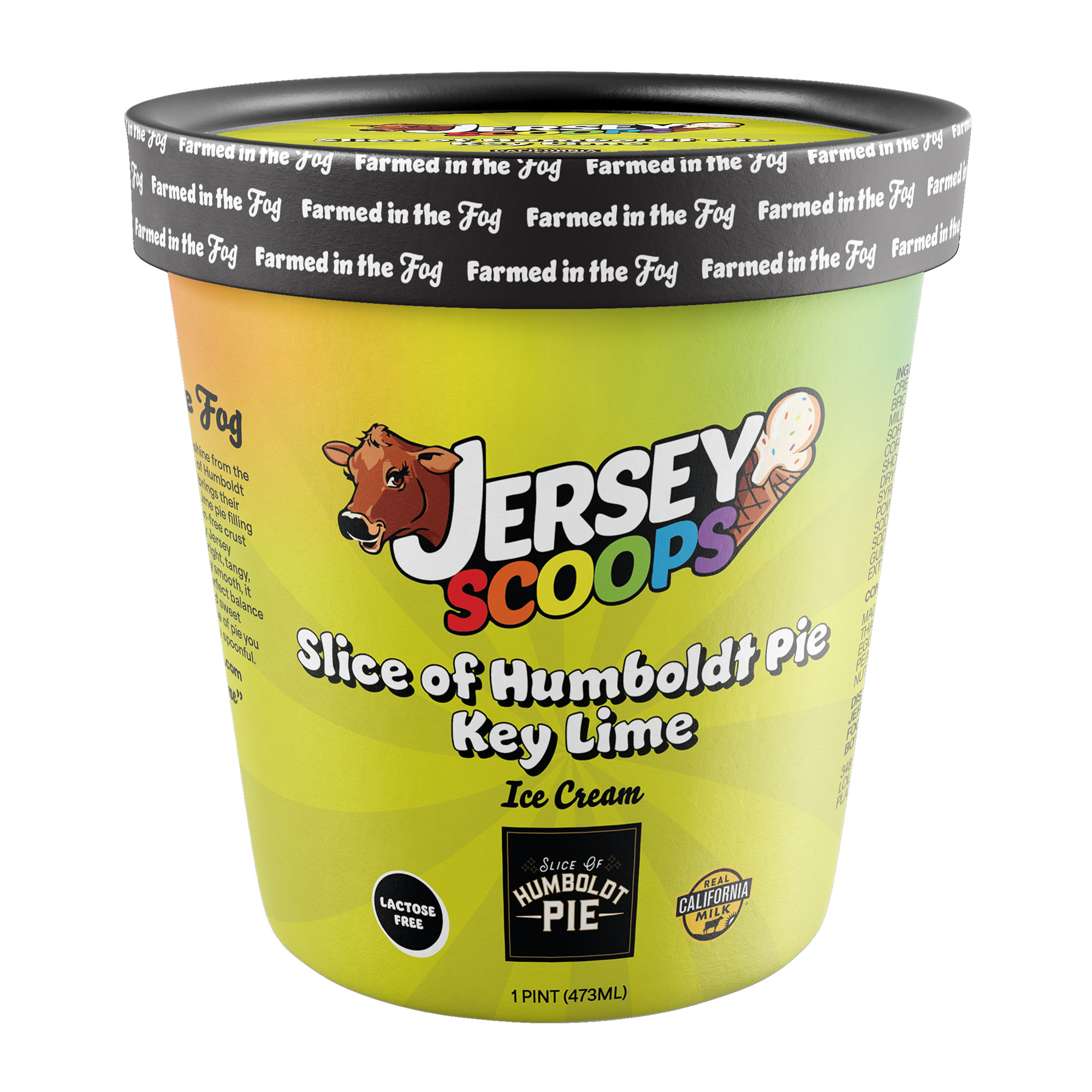 JS-slice-of-humboldt-key-lime-pie-isolated